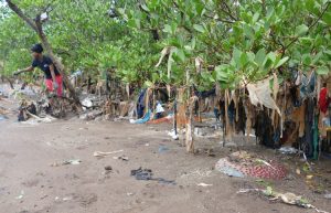 Des lambeaux de plastique et de tissus maculent la mangrove