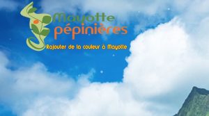 France Relance, Mayotte, Outre-mer, Lecornu, Denormandie, Pannier-Runacher